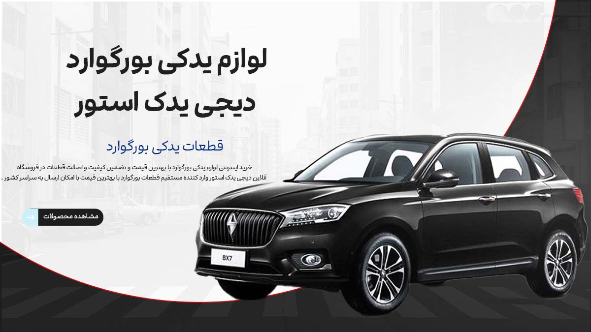 لوازم یدکی بورگوارد