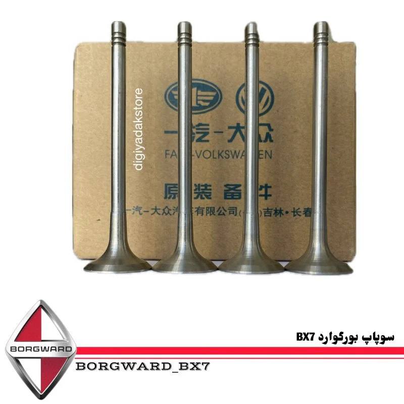 سوپاپ بورگوارد bx7
